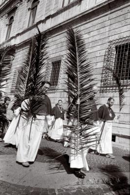 palm procession