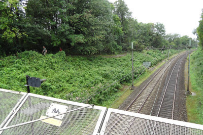 g4/60/461060/3/137222484.FKPxBQJ7.jpg