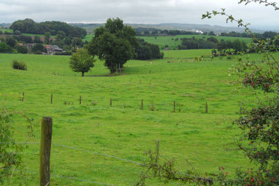 g4/60/461060/3/137222488.OkJk9dNf.jpg