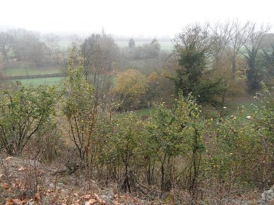 Herfstwandeling wc St. Blasius