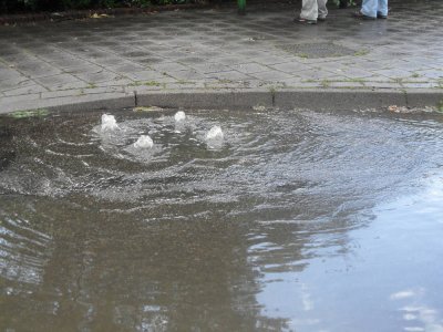 De kolken hadden genoeg gehad.