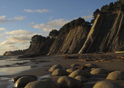 Bowling Ball beach