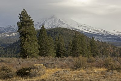 Mount Shasta