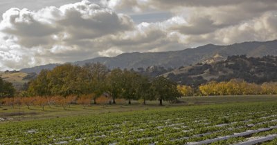 Terra Firma Farm