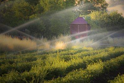 Fiddler's Green Farm