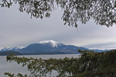 g4/60/464360/3/60545743.rtreemountain.jpg