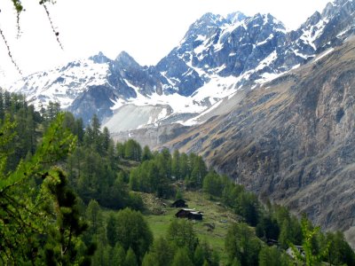 Swiss Mountains-5-Display.jpg