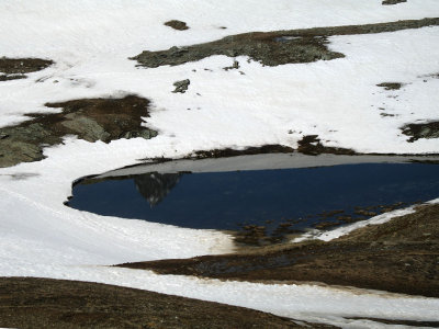 Swiss Mountains-9-Display.jpg