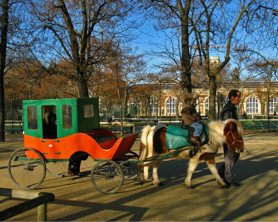 Jardin des  Tuileries: Pony Ride