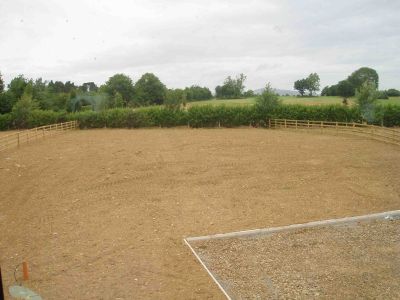 O'Sheas Green Back yard.jpg
