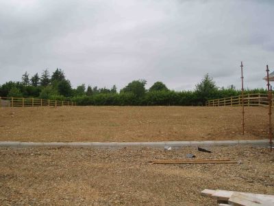 O'Sheas Green back yard 3.jpg
