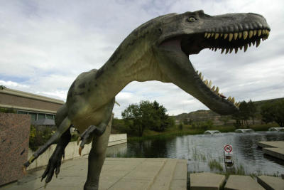 Tyranasauras at Tyrell Museum, Canada