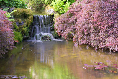 Japanese Garden-Butchart Gardens