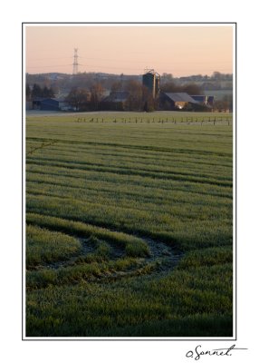 Ferme_fujiX10.jpg