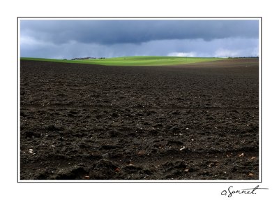 Terre et herbe.jpg