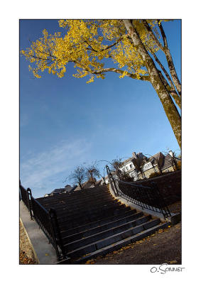 Parc Communal escalier.jpg
