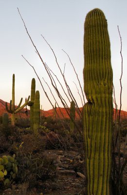 Arizona, November 2011