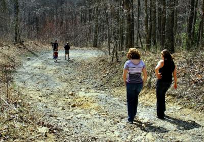 the trail begins to descend