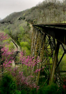 this is the Copper Creek Trestle on the former Clinchfield Railroad, at Speers Ferry, VA