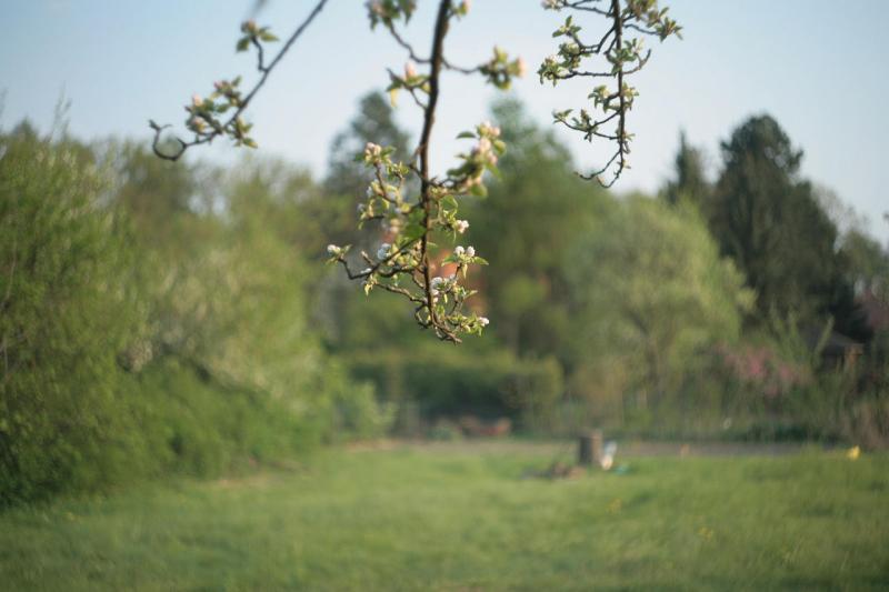 Zenith Helios 44 2 58mm F2 Photo Jurgen Kook Photos At Pbase Com