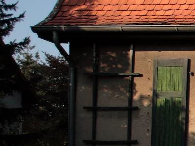 5D 100%crop