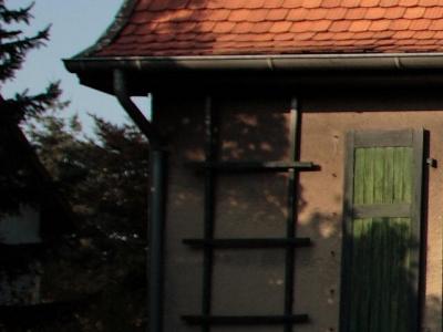 20D 100%crop upsampled