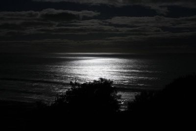 Full moon rising