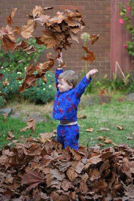 James playing in the leaves