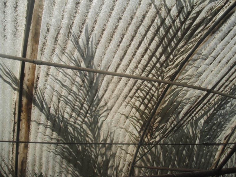 DSCF2862.JPG