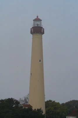 SDIM1900.jpg