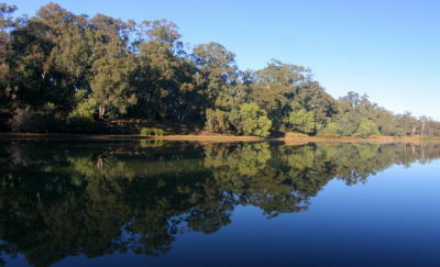 Murray River  4