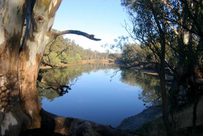 Murray River  6