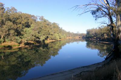 Murray River  7