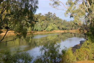 Murray River  9