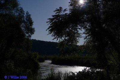 Moonlight over West River Cattail Marsh