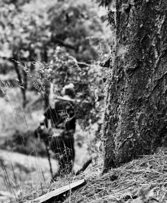 yreka_0611