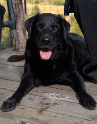 Barkley_06_06