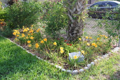 Flora32.JPG