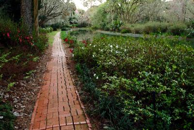 Pond Walk at Maclay.jpg