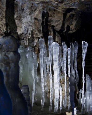 Icicles 3013.jpg