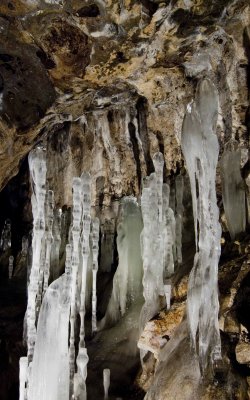 Icicles 3004.jpg