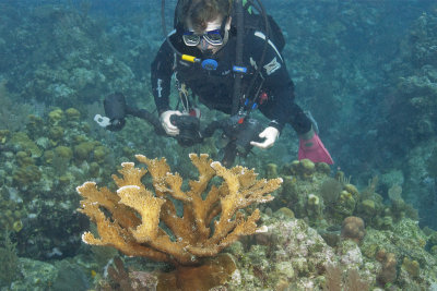 Ladonna 5660.jpg