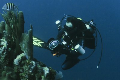Utila LI-0185.jpg