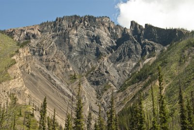 _DSC6585 copy.jpg