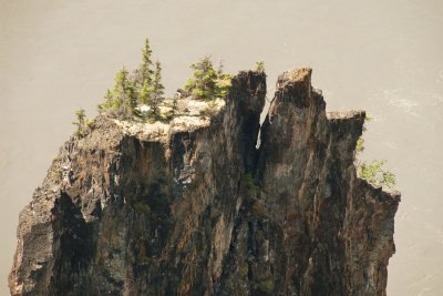 _DSC6784 copy.jpg