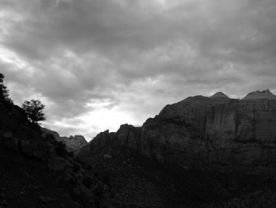 Zion Park Utah Gallery in Black & White