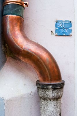 IMG_3999.jpg