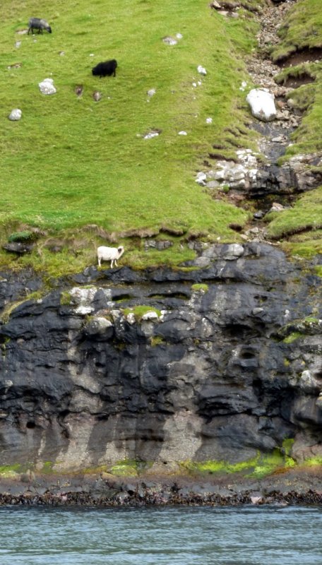 Out on a Ledge on the Coast of Nolsoy Island