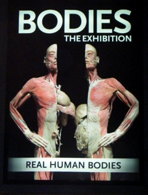Attending 'Bodies' at the Luxor