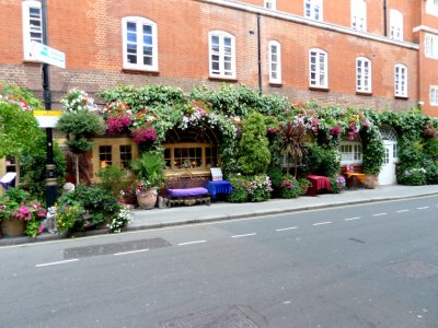Restaurant with Wall of Flowers, London
